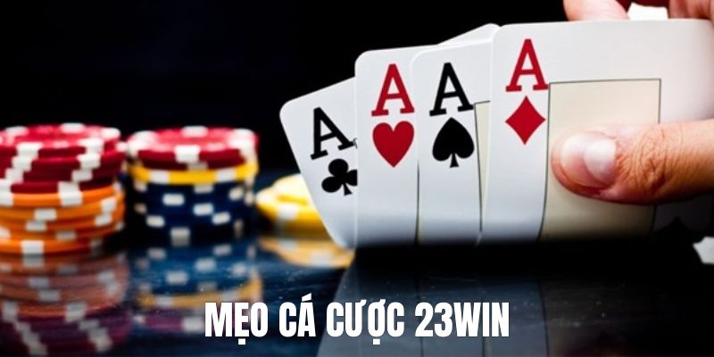 Mẹo cá cược 23win thắng khủng từ cao thủ