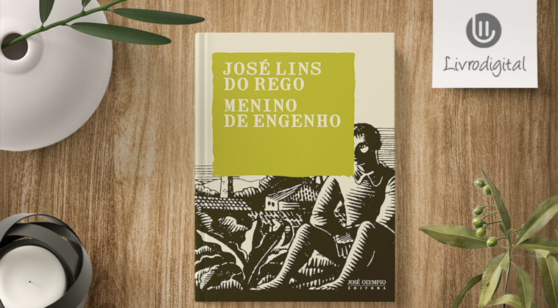 Menino de Engenho pdf